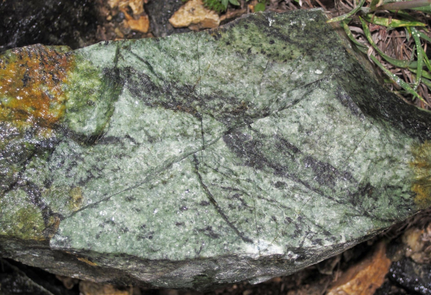 A chromite band running dark through green serpentinite host rock.